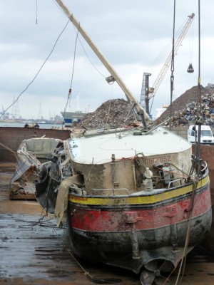 P1000636~1.jpg (118.39 Kio) Vu 8218 fois P1000636~1.jpg