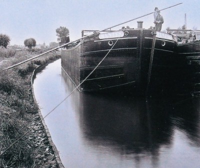 Mantes.jpg (133.12 Kio) Vu 2035 fois Mantes.jpg