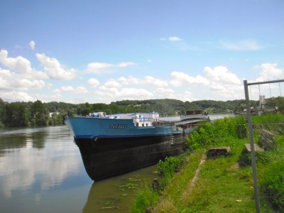 P7060119.JPG (91.69 Kio) Vu 4883 fois P7060119.JPG