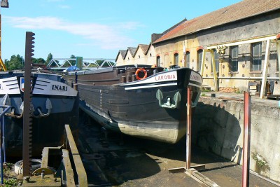 P1040478 (Copier).JPG (143.47 Kio) Vu 7775 fois P1040478 (Copier).JPG