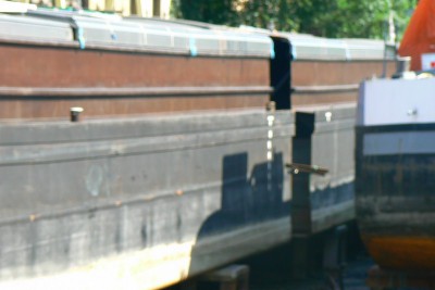 P1040483 (Copier).JPG (75.27 Kio) Vu 7775 fois P1040483 (Copier).JPG