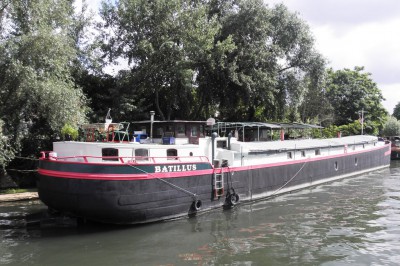 batillus.jpg (246.73 Kio) Vu 5026 fois batillus.jpg