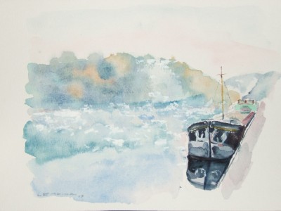 Aquarelle Pareatis.JPG (72 Kio) Vu 9301 fois Aquarelle Pareatis.JPG