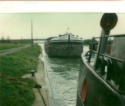 cacha.jpg