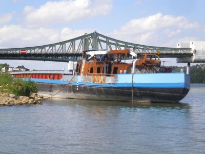 IMGP6334 [800x600].JPG