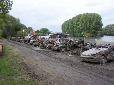 090916 002 - 800 - Drole de poissons dans l escaut.jpg