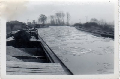 Méduse dans les glaces 004.jpg