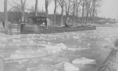 méduse glaces 001.jpg
