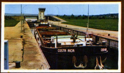 img784.jpg (138.77 Kio) Vu 1176 fois img784.jpg