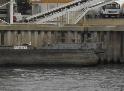 P9193611bis.JPG