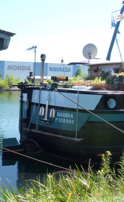 gaudia 2 (02).JPG