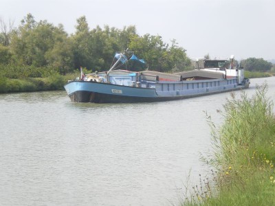 IMGP6505 [800x600].JPG