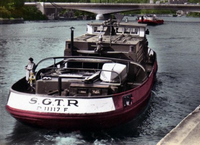 Guepe xx.jpg (109.89 Kio) Vu 2049 fois Guepe xx.jpg