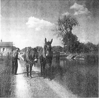 l atlas a jaugenais 58.jpg (113.5 Kio) Vu 2626 fois l atlas a jaugenais 58.jpg