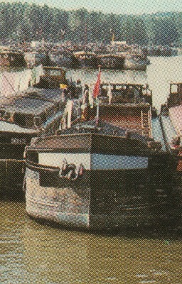 Saint-Mammes (Seine-et-Marne) (07).jpg