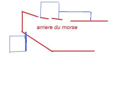 arriere du morse.jpg