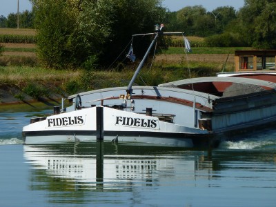 P1130295FIDELIS.jpg (181.51 Kio) Vu 5009 fois P1130295FIDELIS.jpg