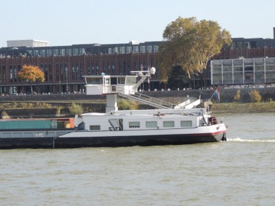 DSCN1425 (Medium).JPG