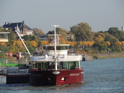 DSCN1279 (Medium).JPG (194.55 Kio) Vu 1350 fois DSCN1279 (Medium).JPG