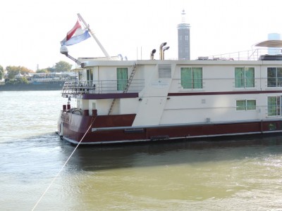 DSCN1399 (Medium).JPG (156.31 Kio) Vu 1350 fois DSCN1399 (Medium).JPG