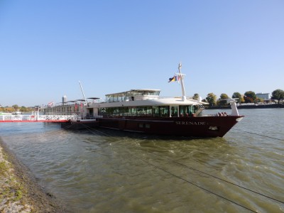 DSCN1401 (Medium).JPG (144.72 Kio) Vu 1350 fois DSCN1401 (Medium).JPG