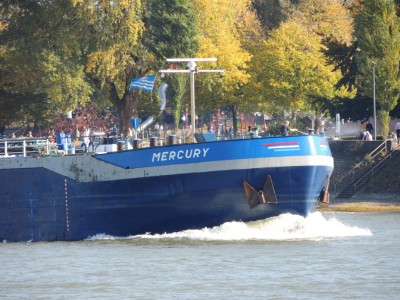 DSCN1404 (Medium).JPG (270.06 Kio) Vu 2107 fois DSCN1404 (Medium).JPG