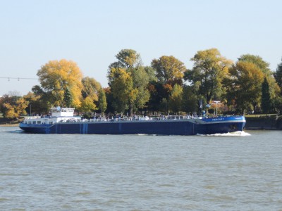 DSCN1405 (Medium).JPG (189.47 Kio) Vu 2105 fois DSCN1405 (Medium).JPG