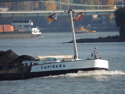 DSCN1285 (Medium).JPG (165.91 Kio) Vu 2333 fois DSCN1285 (Medium).JPG