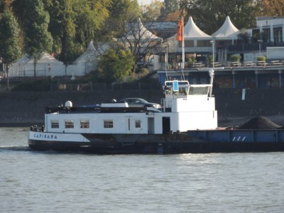 DSCN1291 (Medium).JPG (172.3 Kio) Vu 2319 fois DSCN1291 (Medium).JPG