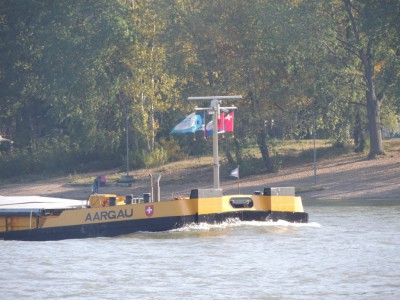 DSCN1295 (Medium).JPG (236.26 Kio) Vu 1847 fois DSCN1295 (Medium).JPG