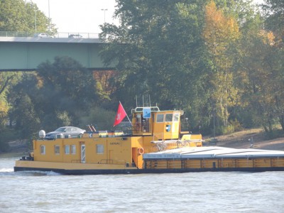 DSCN1298 (Medium).JPG (219.99 Kio) Vu 1847 fois DSCN1298 (Medium).JPG