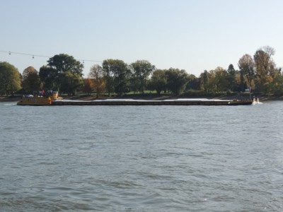 DSCN1299 (Medium).JPG (168.28 Kio) Vu 1847 fois DSCN1299 (Medium).JPG