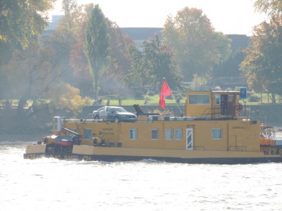 DSCN1303 (Medium).JPG (158.48 Kio) Vu 1847 fois DSCN1303 (Medium).JPG