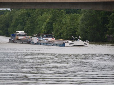 P6241181 (Copier).JPG