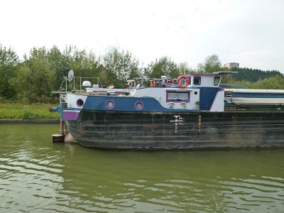 P1130582SQUALO.jpg