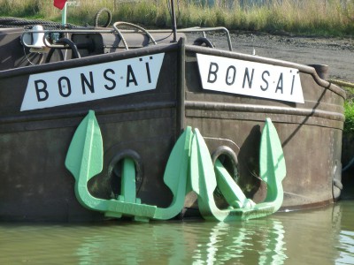 P1130890BONSAI.jpg