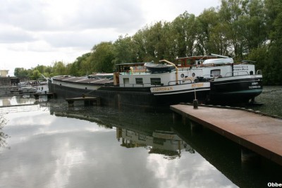 Cormoran 11.JPG (98.04 Kio) Vu 4089 fois Cormoran 11.JPG
