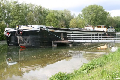 Cormoran 10.JPG (144.24 Kio) Vu 4299 fois Cormoran 10.JPG