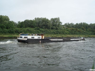 Cormoran 05.JPG (91.35 Kio) Vu 4089 fois Cormoran 05.JPG