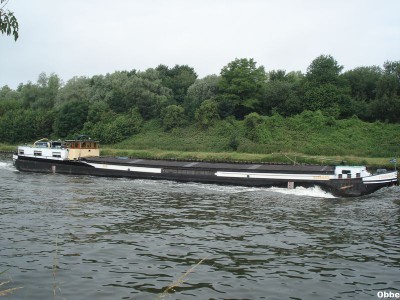 Cormoran 03.JPG (108.52 Kio) Vu 4088 fois Cormoran 03.JPG