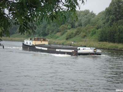 Cormoran 01.JPG (106.22 Kio) Vu 4088 fois Cormoran 01.JPG