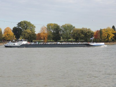 DSCN1578 (Copier).JPG (111.73 Kio) Vu 1520 fois DSCN1578 (Copier).JPG