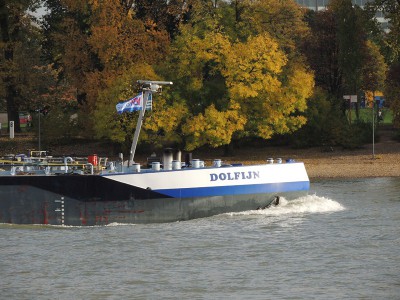 DSCN1579 (Copier).JPG (164.01 Kio) Vu 1520 fois DSCN1579 (Copier).JPG