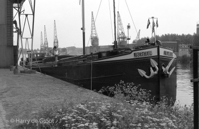 Liberateur 01821101 (5).jpg (145.72 Kio) Vu 6645 fois Liberateur 01821101 (5).jpg