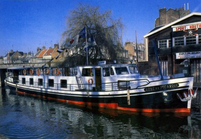 Rose de Picardie (1).jpg