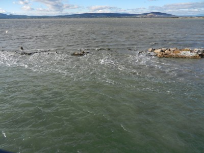 DSCN0475.JPG (350.31 Kio) Vu 2921 fois DSCN0475.JPG