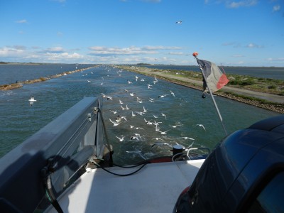 DSCN0470.JPG (332.9 Kio) Vu 2921 fois DSCN0470.JPG