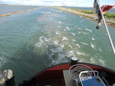 DSCN0471.JPG (398.4 Kio) Vu 2960 fois DSCN0471.JPG