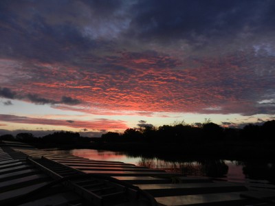 DSCN0509.JPG (294.36 Kio) Vu 3636 fois DSCN0509.JPG