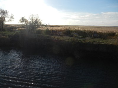 DSCN0513.JPG (267.15 Kio) Vu 3091 fois DSCN0513.JPG